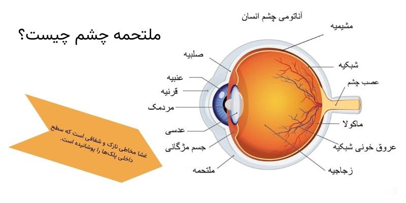 علائم ناخنک چشم
